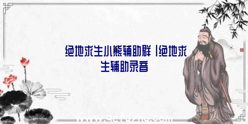 「绝地求生小熊辅助群」|绝地求生辅助录音